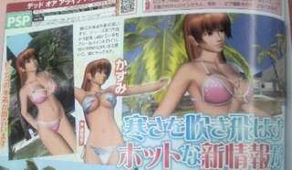Illustration for article titled Let's Check Out These Blurry DoA Bathing Suits